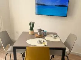 11cinque