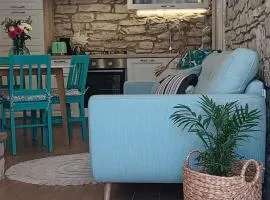 Authentic Istria&pet friendly apartment Banko near Rovinj