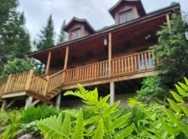 Chalet des Sources SPA Gazebo panoramique