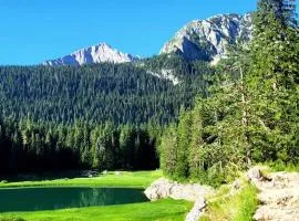 Holiday Home Stefani Spacious Mountain House near Durmitor 3 Bedrooms Private Parking