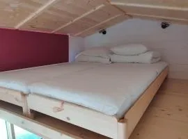 Tiny House des Etangs