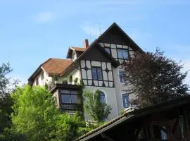 Villa Steinmetz