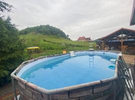 Садиба У Дохтора Відпочинок у Карпатах, hotel v destinaci Golubinoye