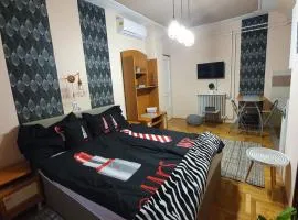 Ágnes Vendégházak Siófok-apartman 2
