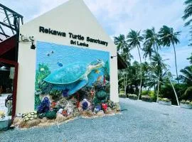 Shine Wave Turtle Beach