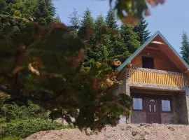 Mountain apartment-Komovi