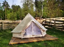 pole namiotowe Stajnia Kaliska