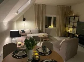 High rated private appartment 350 m from Ålesund center with free parking