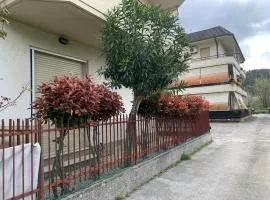 Il Tucanino