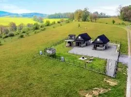 3 Bedroom Stunning Home In Wojcieszyce