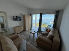 Jakovljevic apartman