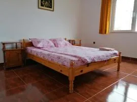 Casa din Vamă