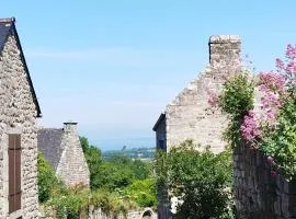 Gwen ha du