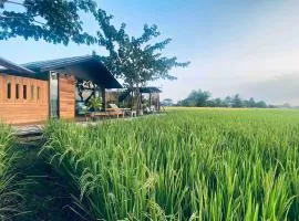 BREATHE - Rice Valley