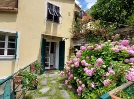 Pupetta Garden