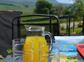 Ashes Farm - Ingleborough Barn Cottage, with 3 peaks views, near Settle
