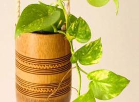 Eco Homestay, hotel v destinaci Mon