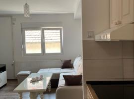 Apartmani Vrla NEW, family hotel in Vladičin Han