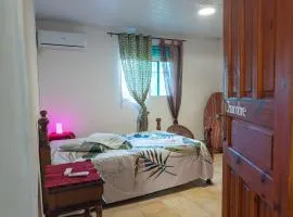 Kaz Créole 2 chambres Wifi Parking et Tranquillité
