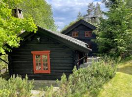 Hallingstua, biệt thự ở Oslo