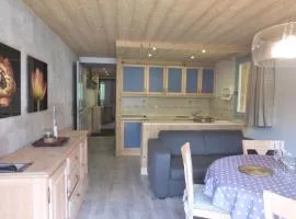 Résidence L'edelweiss - Joli appartement 3 pièces situé dans un environnement calme dans le centre de Méribel et proche des pistes de ski MAE-6571