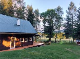 Domek Dorota z widokiem na góry Lasówka 5km do Zieleniec Ski Arena – hotel w mieście Lasowka