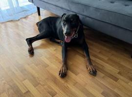 O Lar de Raxó, Hotel in Raxo