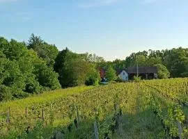 Gîte au milieu des vignes