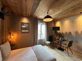 Studio façon chalet montagnard - Hyper centre