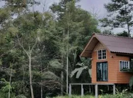 Rat Min House