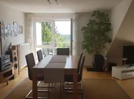 Schöne Wohnung frei in Alfdorf bei Stuttgart