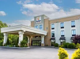 Comfort Suites-Youngstown North