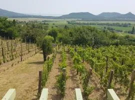 Grand Cru 4 Vendégház