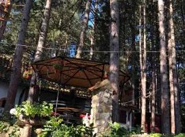 Apartman medju borovima 2