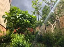 Chez Renaud