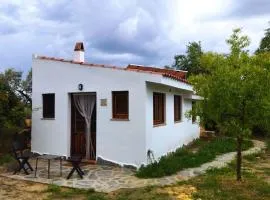 Cortijo de Amor
