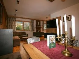 Apartment Erzherzog's Apts Kaiser und Alpenlodge by Interhome
