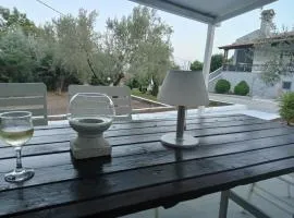 COUNTRY HOUSE IN OLIVE GROVE (2 ) - GERAKINI