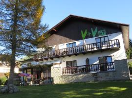 V+V Pension, hotel v destinaci Harrachov