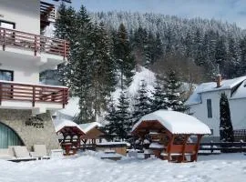 ALEGRIA - MOIECIU DE SUS