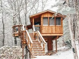 The Cottonwood in Treehouse Grove at Norton Creek