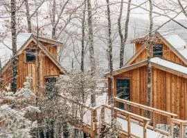 The Hickory in Treehouse Grove at Norton Creek