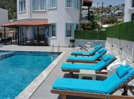 Villa Manolya