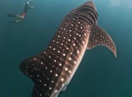 Dhigurah Dhonveli Boutique, ubytování v soukromí v destinaci Dhigurah