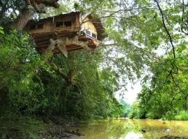 Kumbuk Tree House