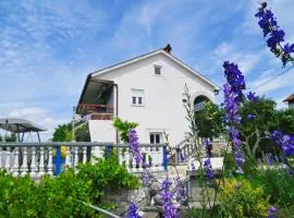 Apartments Biondi