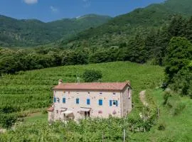 Agriturismo Podere del Bosc