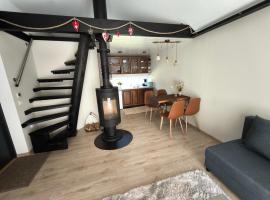 Vissi Puhkemaja，Vissi的木屋