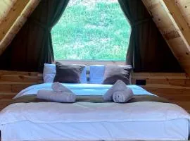 Aslan Suit Bungalov