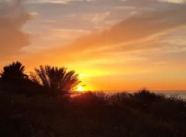 دار البحر